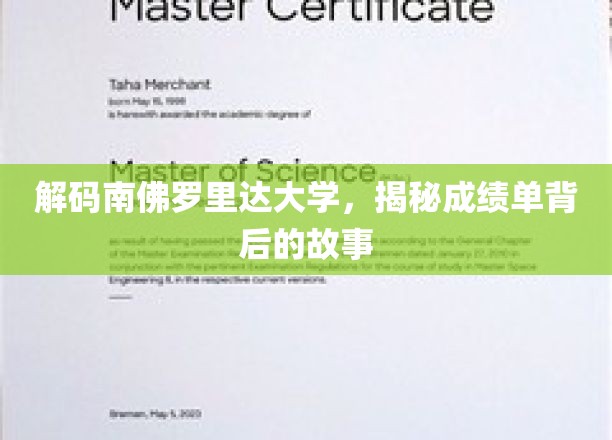 探寻南佛罗里达大学，揭开学子成绩单背后的真实历程