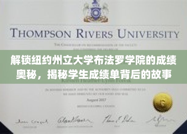 解锁纽约州立大学布法罗学院的成绩奥秘，揭秘学生成绩单背后的故事