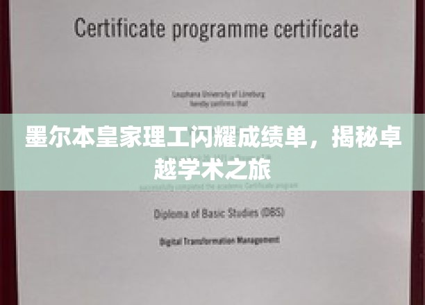 墨尔本皇家理工闪耀成绩单，揭秘卓越学术之旅