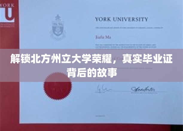 北方州立大学荣耀揭秘，探寻毕业证背后的传奇故事