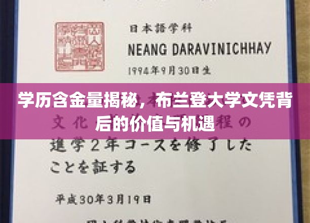 布兰登大学学历解析，揭开名校文凭的增值密码与广阔前景