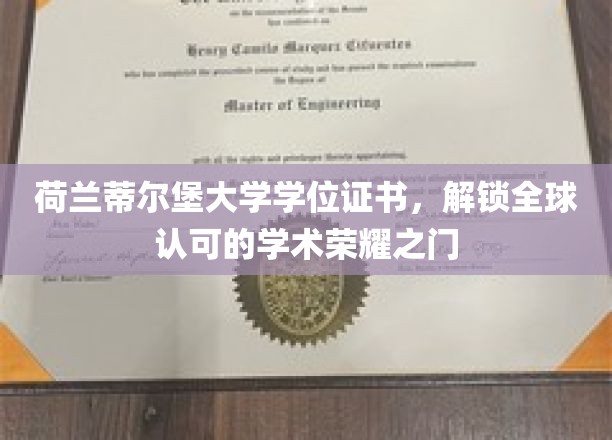 荷兰蒂尔堡大学学位证书，开启全球认可的学术荣耀之门