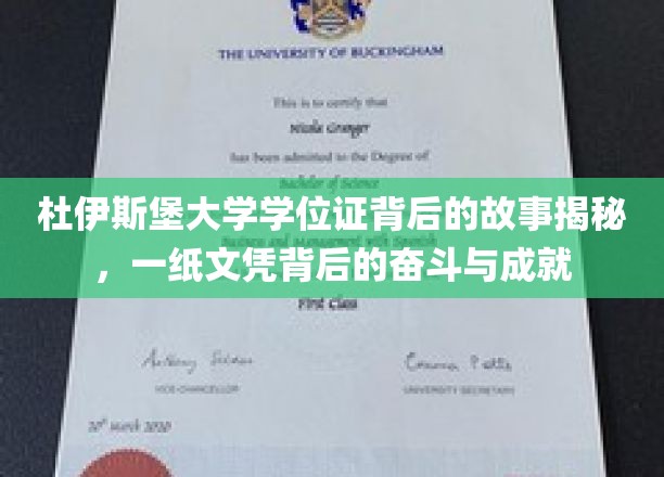杜伊斯堡大学文凭背后的传奇，揭秘奋斗者的荣耀之路