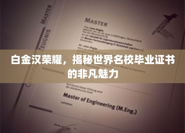 名校光环下的白金汉荣耀，毕业证书背后的非凡吸引力