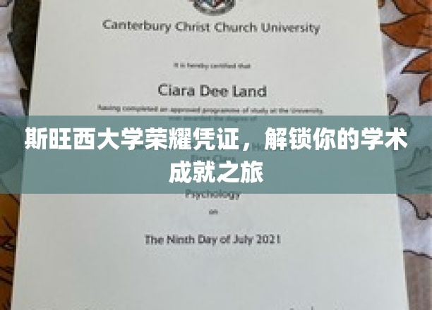 斯旺西荣耀通行证，开启学术巅峰之旅