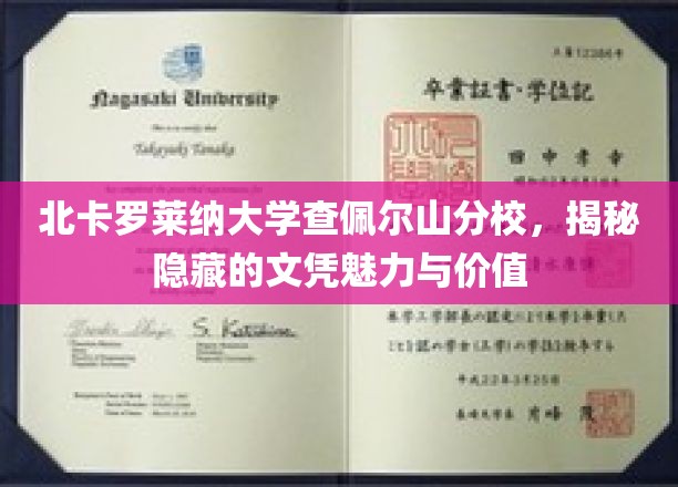 探寻北卡罗莱纳大学查佩尔山分校，文凭背后的独特魅力与深远价值