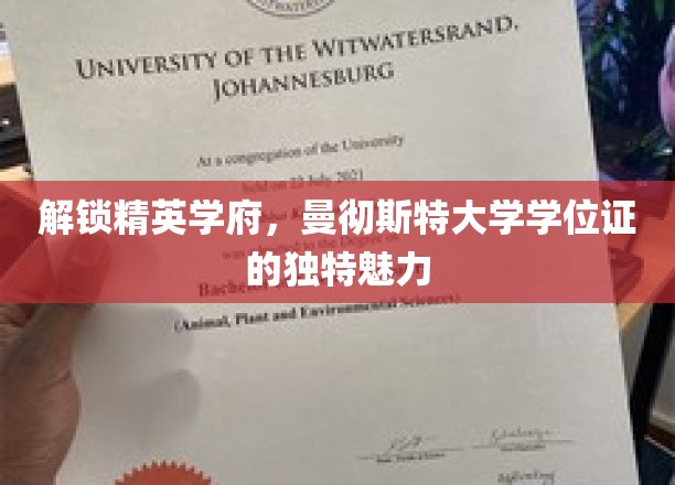 揭秘精英摇篮，曼大学位证的非凡吸引力