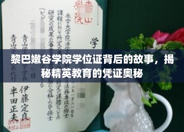 黎巴嫩谷学院学位证背后的故事，揭秘精英教育的凭证奥秘