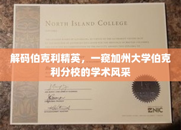 解码伯克利精英，一窥加州大学伯克利分校的学术风采
