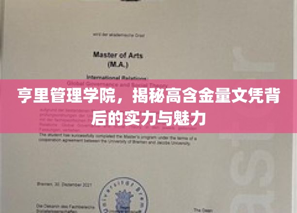 亨里文凭的魅力探秘，实力管理学院的高光时刻