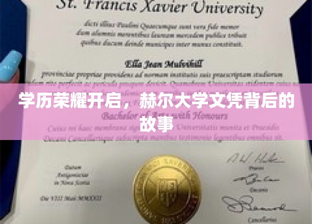 学历荣耀开启，赫尔大学文凭背后的故事