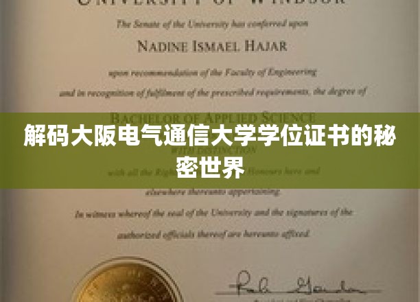 揭秘大阪电气通信大学学位证书背后的非凡故事