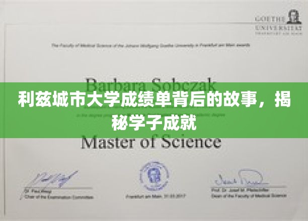 利兹城市大学成绩单背后的奋斗足迹，学子成就的幕后传奇