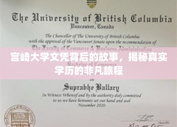 宫崎大学文凭背后的传奇之旅，探寻学历背后的非凡历程