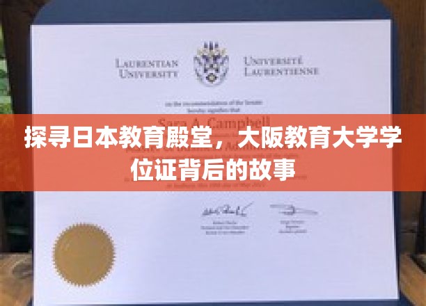 解码大阪教育大学学位证的传奇之旅