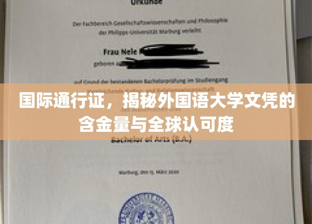 全球通行证背后的秘密，外国语大学文凭的国际影响力大揭秘