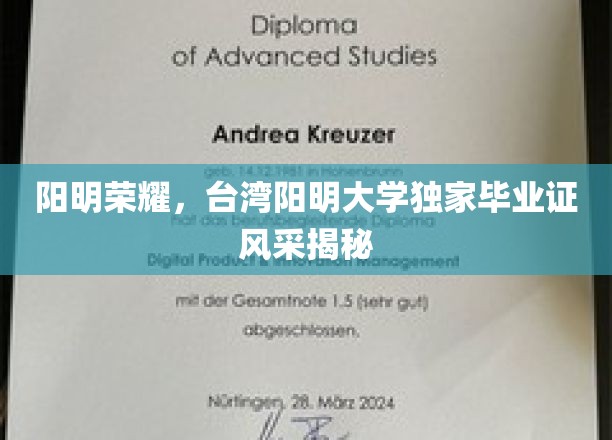 阳明荣耀，台湾阳明大学独家毕业证风采揭秘