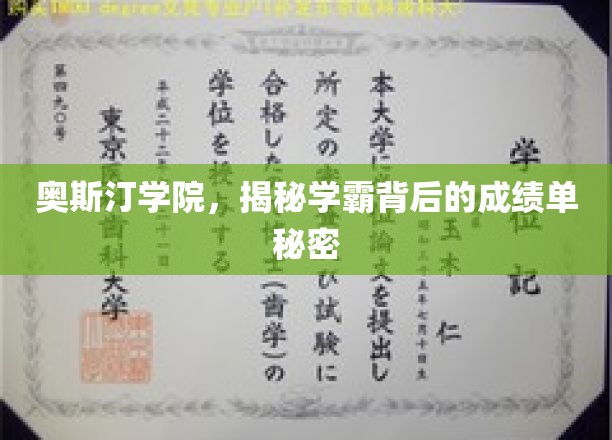 奥斯汀学院学霸档案，揭秘高分背后的神秘力量