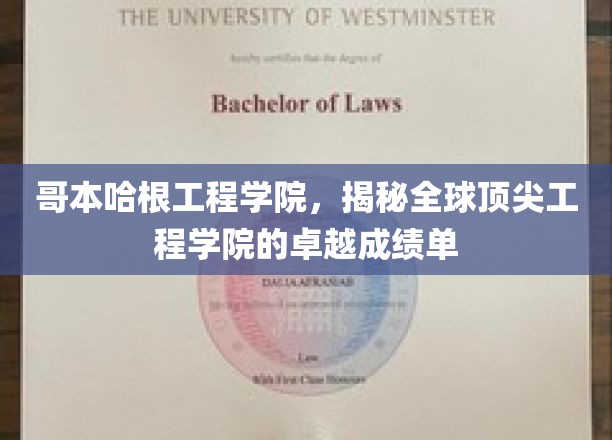 解码哥本哈根工程学院，世界级工程学院的辉煌成就一览