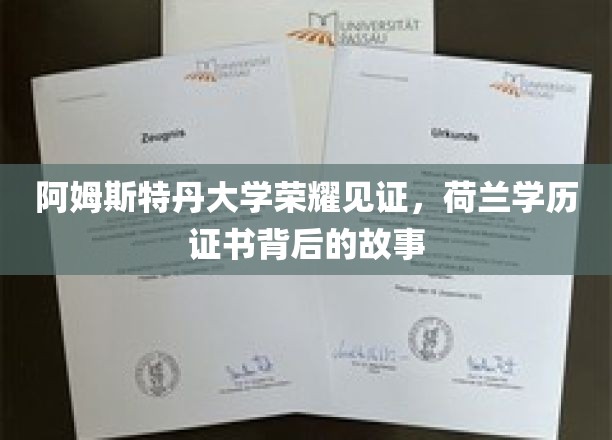 阿姆斯特丹荣耀传承，荷兰学历证书的神秘面纱