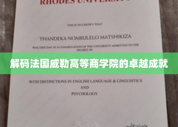 探索法国威勒高等商学院的非凡荣耀之路