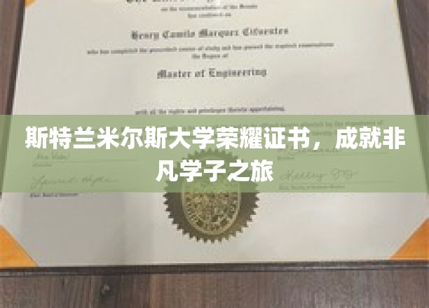 斯特兰米尔斯荣耀见证，非凡学子的非凡征程
