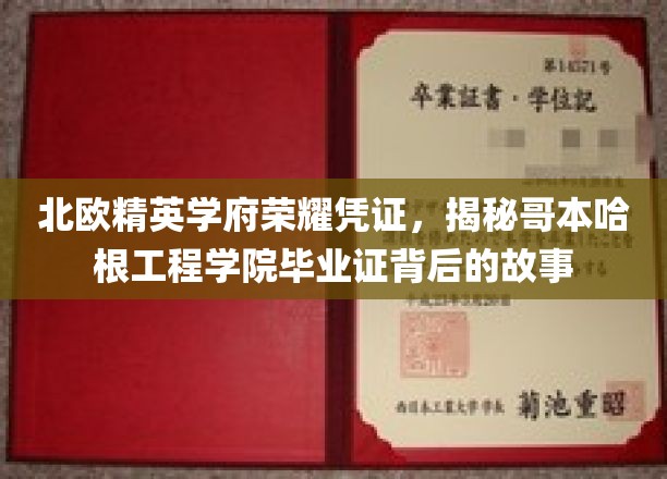 哥本哈根工程学院荣耀揭秘，探寻北欧精英学府的毕业证传奇