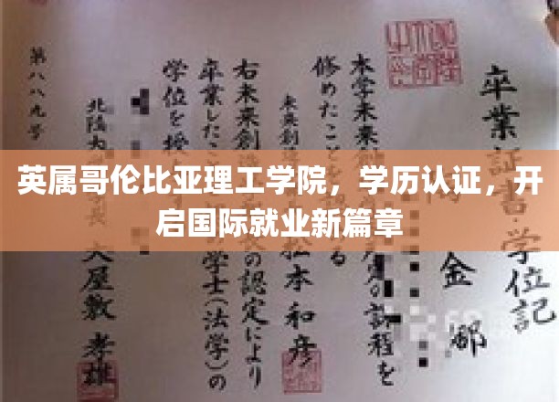 英属哥伦比亚理工学历认证助力学子迈入全球职场新里程