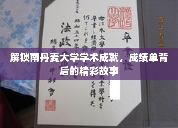 解锁南丹麦大学学术成就，成绩单背后的精彩故事