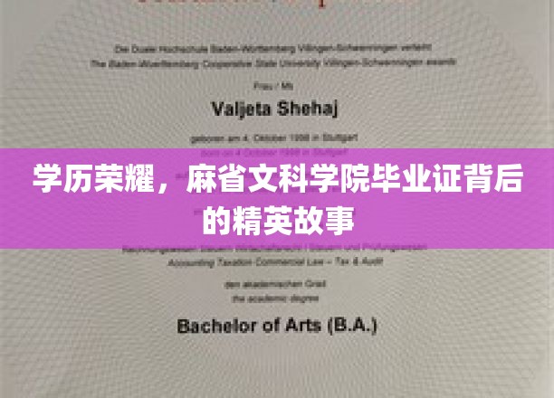 麻省精英养成记，揭秘文科学院毕业证背后的传奇人生