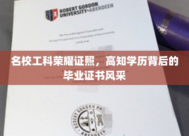 名校精英名片，揭秘高知工程师的荣耀毕业证书