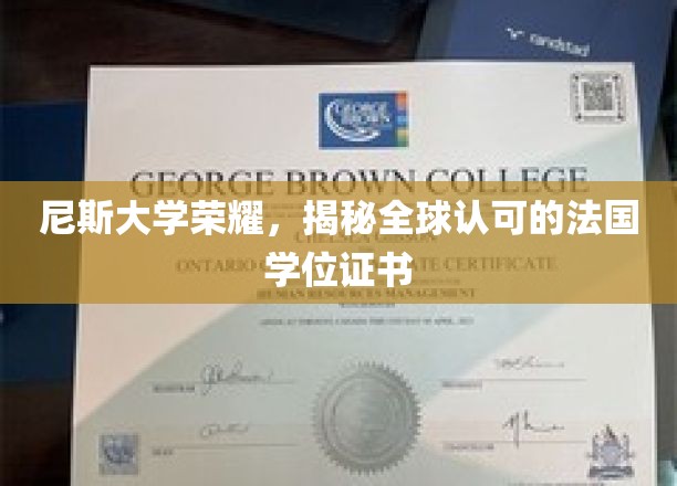 尼斯大学荣耀，揭秘全球认可的法国学位证书