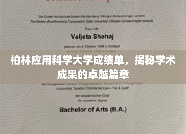 柏林应用科学大学，卓越成就，闪耀学术辉煌之路