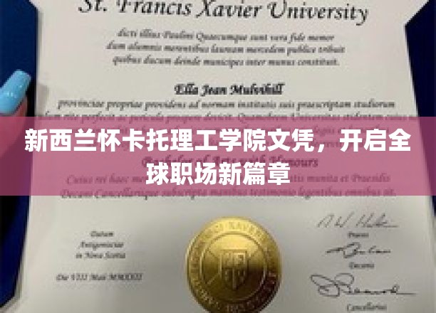 跨国职场通行证，怀卡托理工学院文凭引领全球就业新潮流