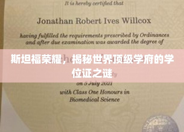 斯坦福荣耀，揭秘世界顶级学府的学位证之谜