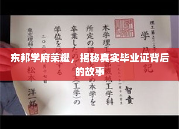 东邦学府辉煌揭秘，毕业证背后的不为人知传奇