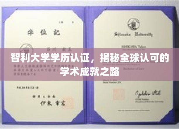 智利大学学历认证，揭秘全球认可的学术成就之路