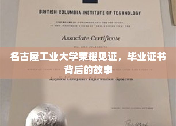 名古屋工业大学毕业证书，探寻荣耀背后的非凡历程