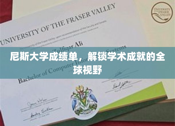 全球视野下的尼斯大学成就，一纸成绩单背后的学术传奇