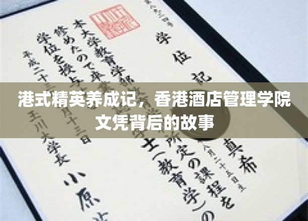 香港酒店精英摇篮，揭秘香港酒店管理学院的传奇养成之路
