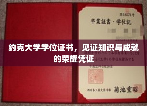 学位荣耀之路，约克大学证书承载的智慧之光