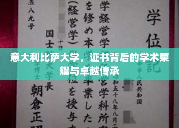 意大利比萨大学，证书背后的学术荣耀与卓越传承