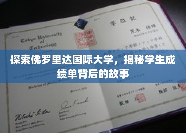 揭开佛罗里达国际大学成绩单的秘密，学生背后的奋斗历程