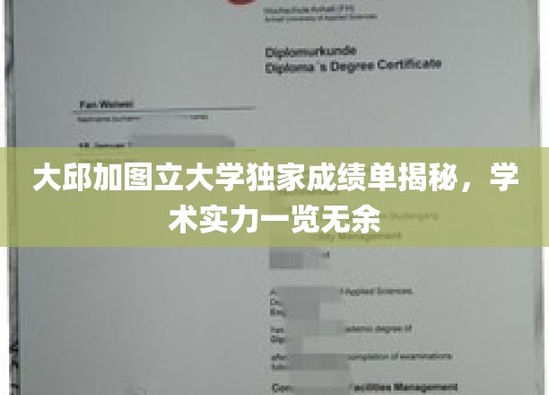 解码大邱加图立，一窥学术风采的独家成绩单解析