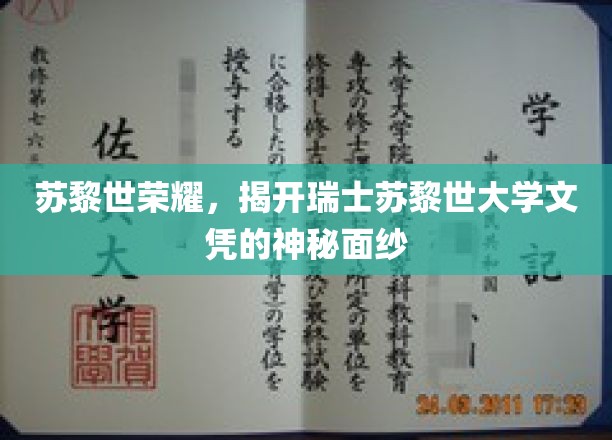 瑞士苏黎世大学文凭背后的荣耀之谜揭晓