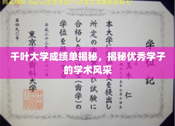 千叶大学成绩单揭秘，展现优秀学子的学术风采
