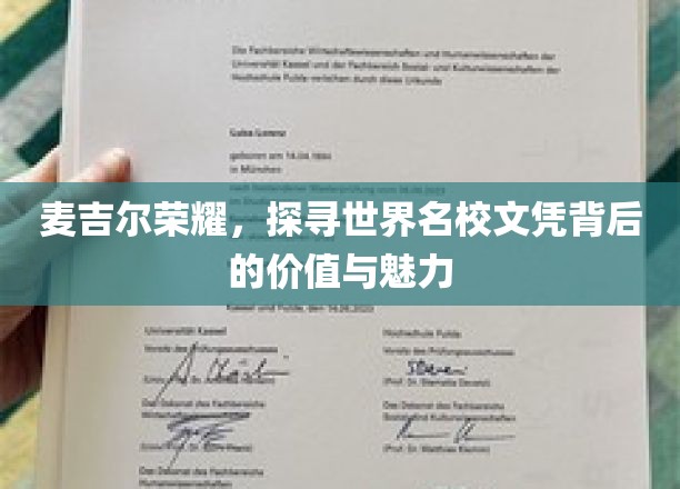麦吉尔荣耀，探寻世界名校文凭背后的价值与魅力