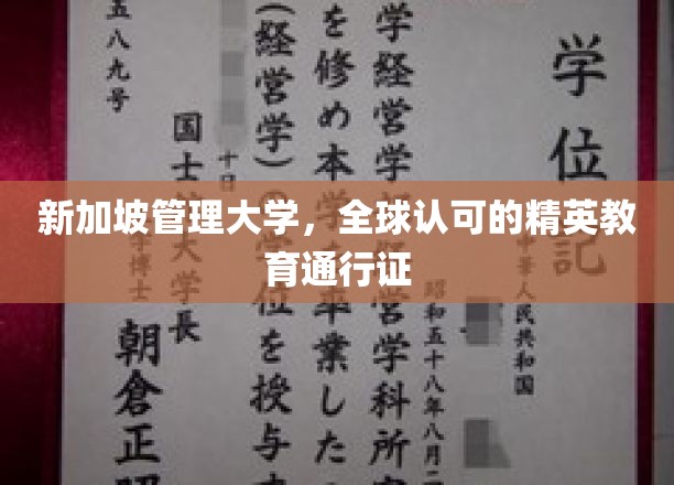 新加坡管理大学，全球认可的精英教育通行证