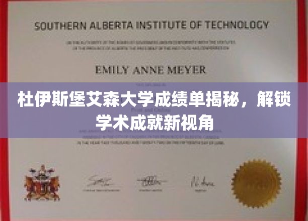 杜伊斯堡艾森大学成绩单揭秘，开启学术成就新视野