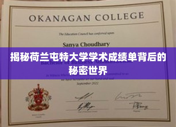 解锁荷兰屯特大学成绩单的隐藏学问之旅